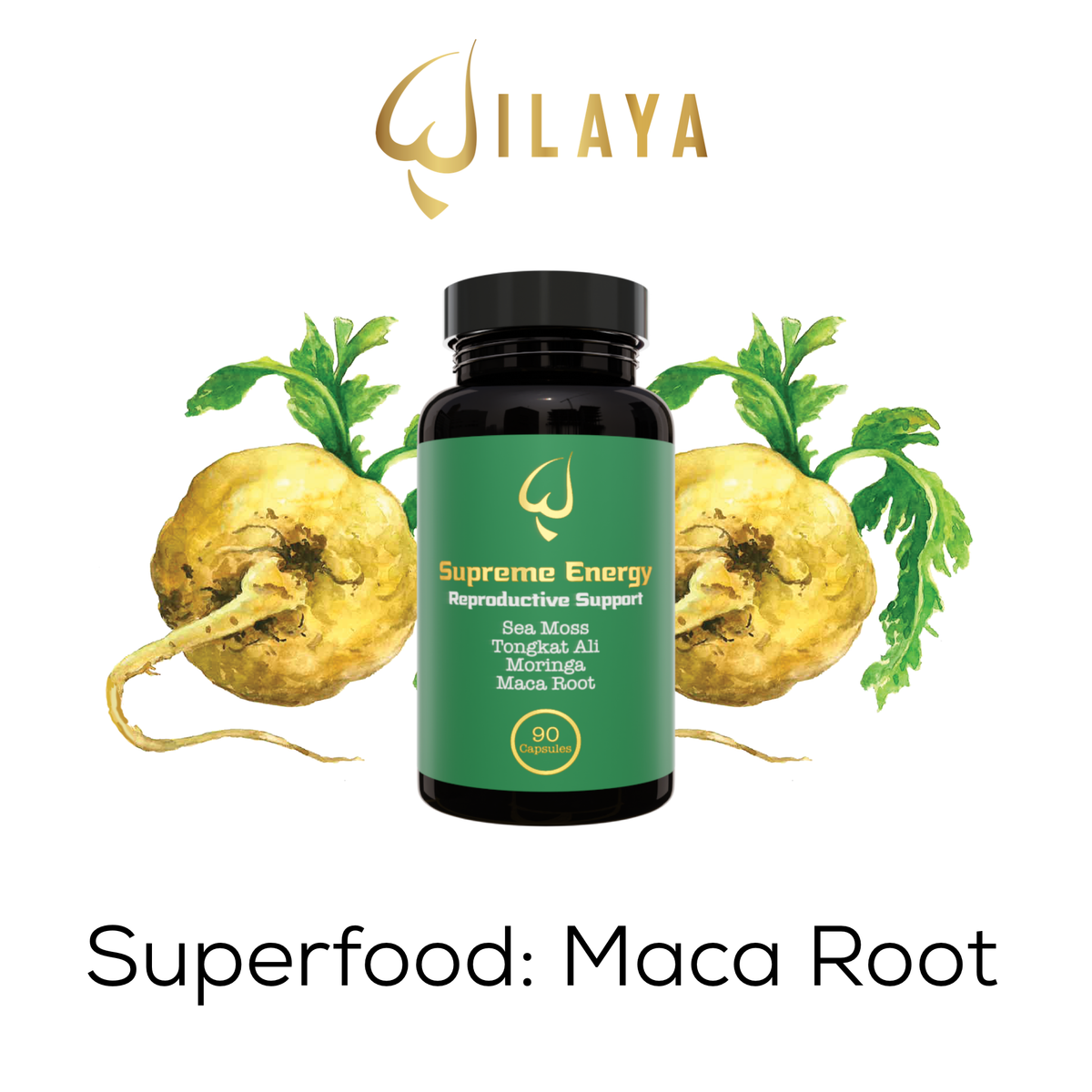 Mega Root Maca Root: The Antioxidant Superfood From The Andes – Wilaya