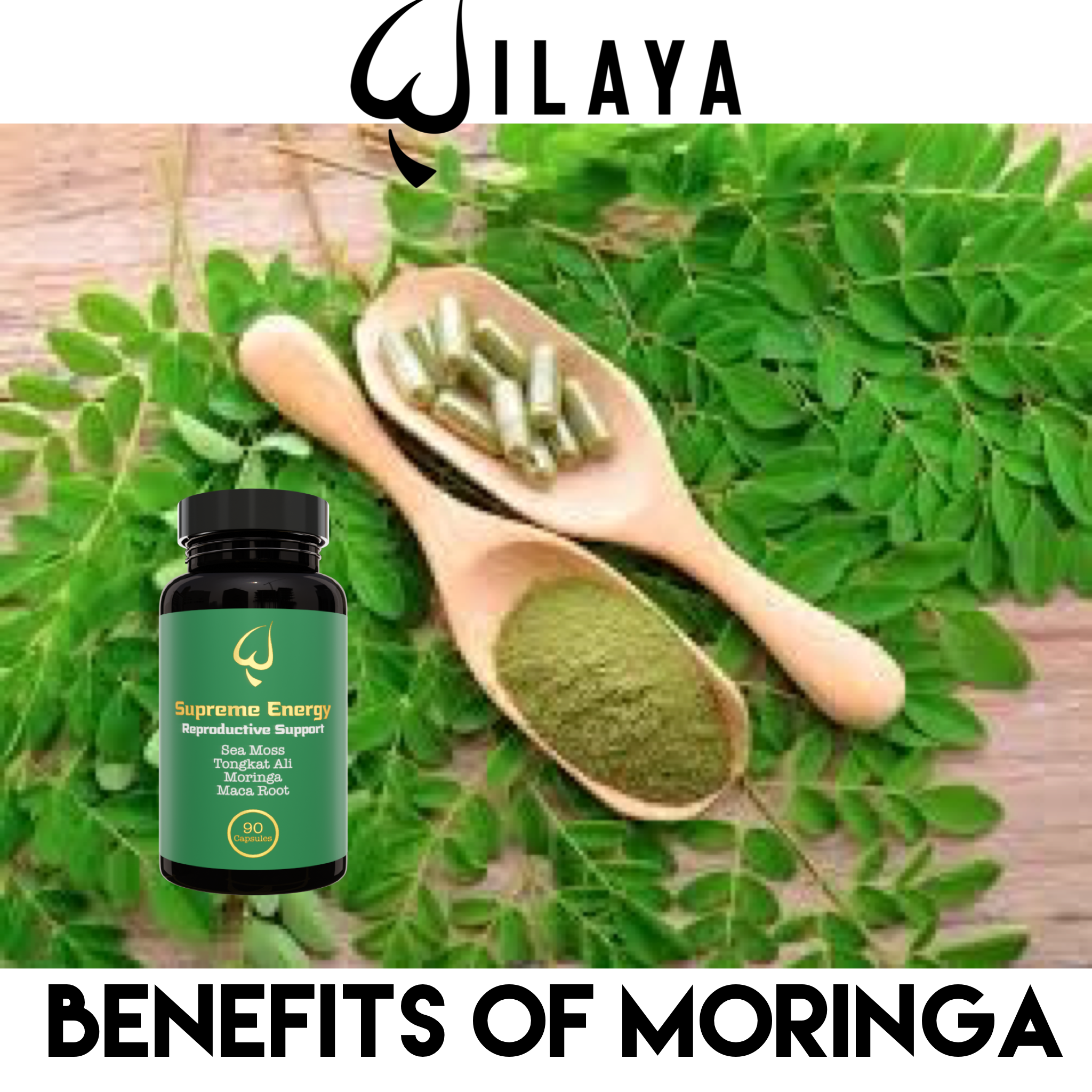 Benefits of Moringa