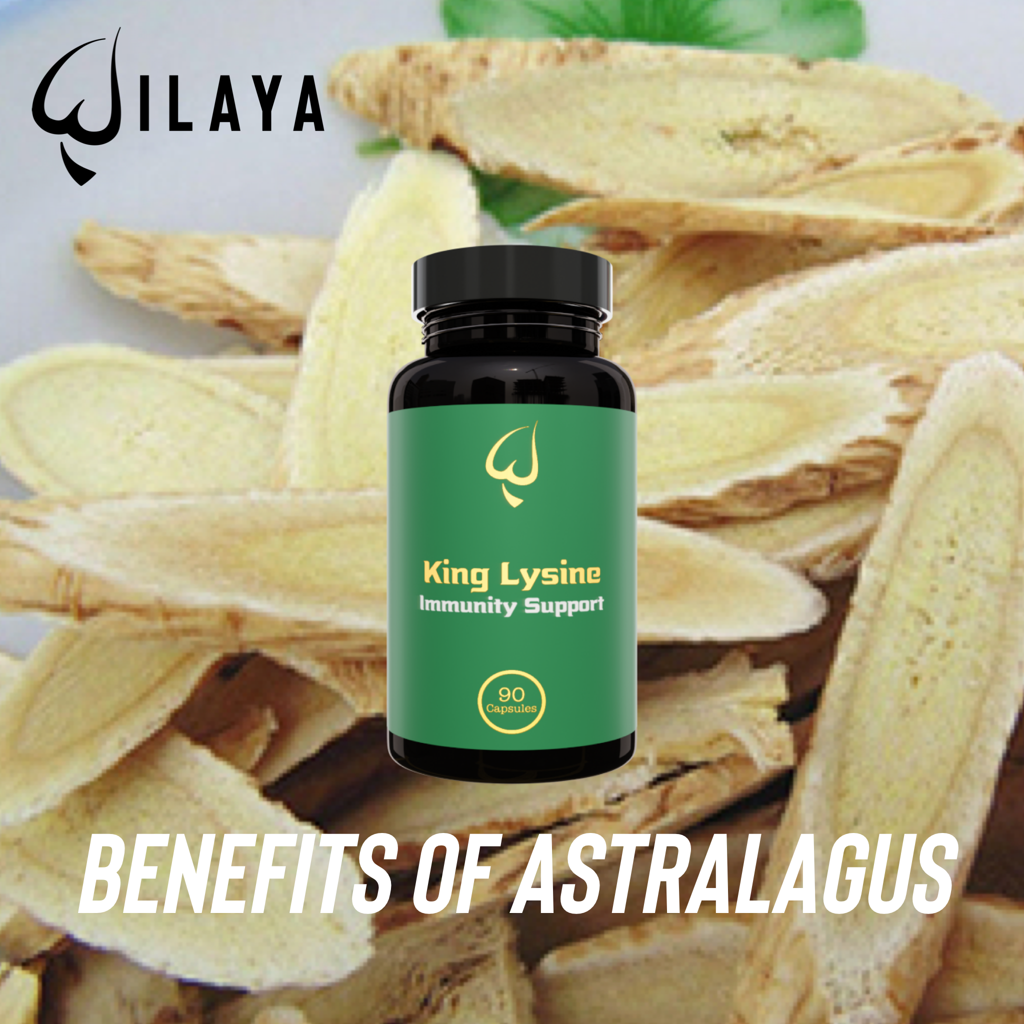 Benefits of Astralagus