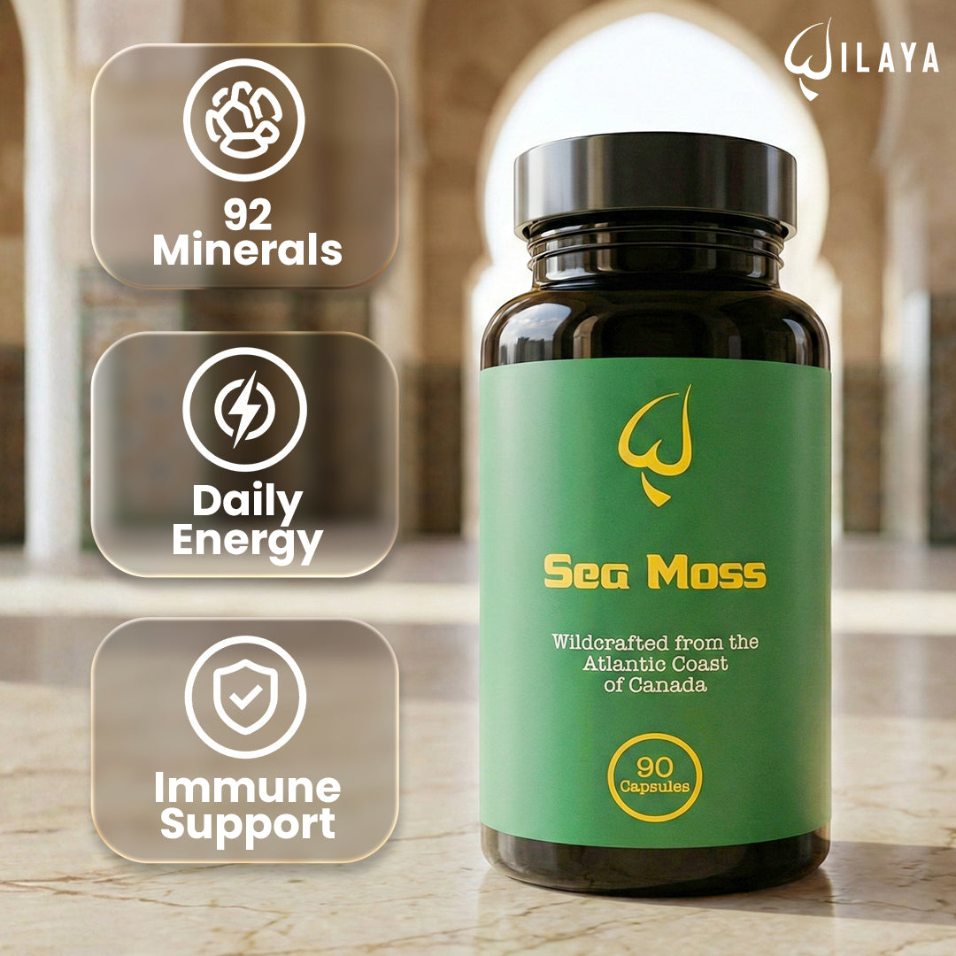 Sea Moss (Chondrus Chripus) Capsules