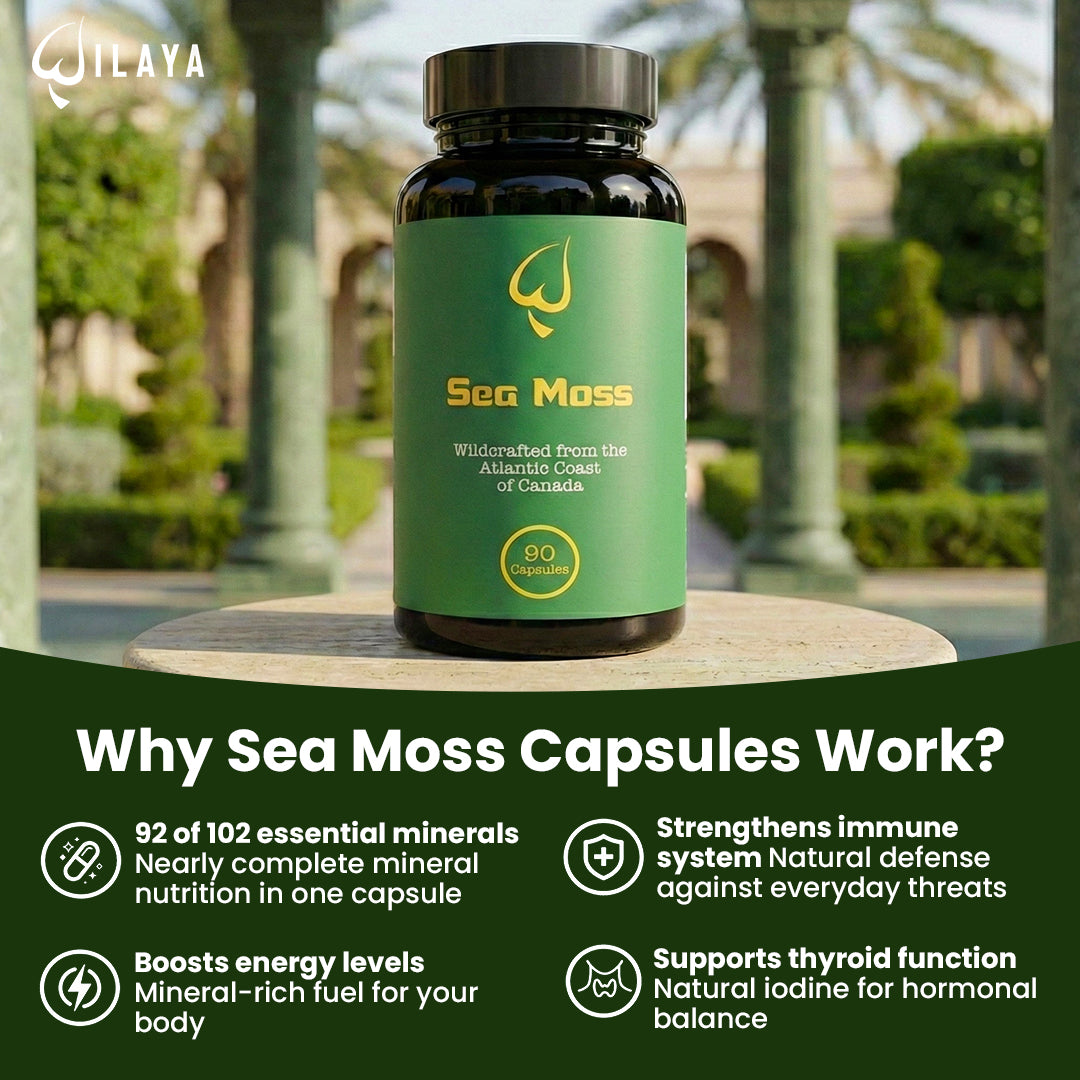 Sea Moss (Chondrus Chripus) Capsules
